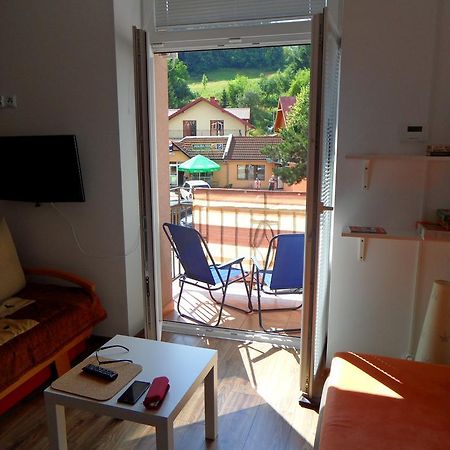 Apartament Kraszewskiego 크리니차 즈드로이 외부 사진